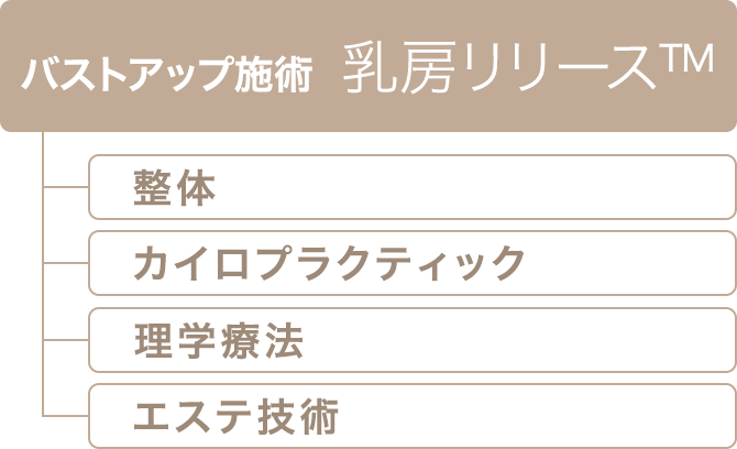 バストアップ施術 乳房リリース™ 整体 カイロプラクティック 理学療法 エステ技術