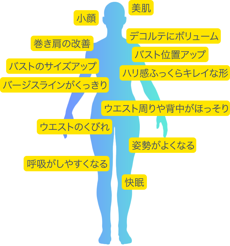 美肌 小顔 デコルテにボリューム 巻き肩の改善 バスト位置アップ バストのサイズアップ ハリ感ふっくらキレイな形 バージスラインがくっきり ウエスト周りや背中がほっそり ウエストのくびれ 姿勢がよくなる 呼吸がしやすくなる 快眠