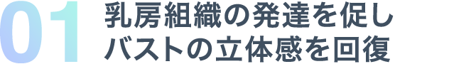 01 乳房組織の発達を促しバストの立体感を回復