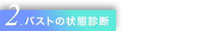 2.バストの状態診断