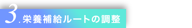 3.栄養補給ルートの調整